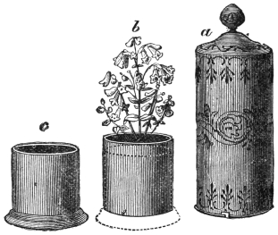 Fig. 246. — The flower apparatus in its three parts, left to right: the base c, the intermediate portion b with a plant springing from its perforated top, and the tall ornamented cover a with a knob.