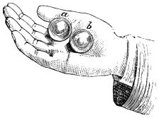 Fig. 257. — An open right hand holding two glass balls, a and b, side by side in the palm.
