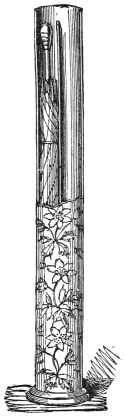 Fig. 259. — The upright oval case for the umbrella trick, decorated with flowers, its upper part cut away to show an umbrella standing in one of its two compartments.