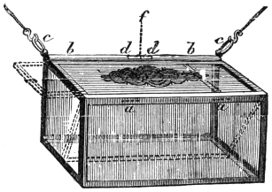 Fig. 308. — Robert-Houdin's all-glass cash-box, hung by the hooks c c, with the ornamental design on its lid; b b is the metal tube along the top edge, d d the gap holding the wooden plug, f the black cotton, and a the hinges of the inner flap.