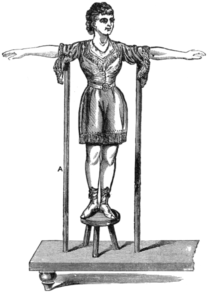 Fig. 312. — The young lady in page's costume stands on a small stool on the low bench, her arms outstretched and resting on two upright poles; the one under her right arm is marked A.