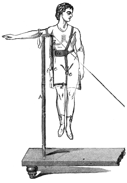 Fig. 313. — The stool removed, she hangs from the rod A by her right arm, the iron framework drawn through her tunic with its girdle a, upright b, joint c, leg strap d, crutch e and hook i; a dotted line shows the slanting position.