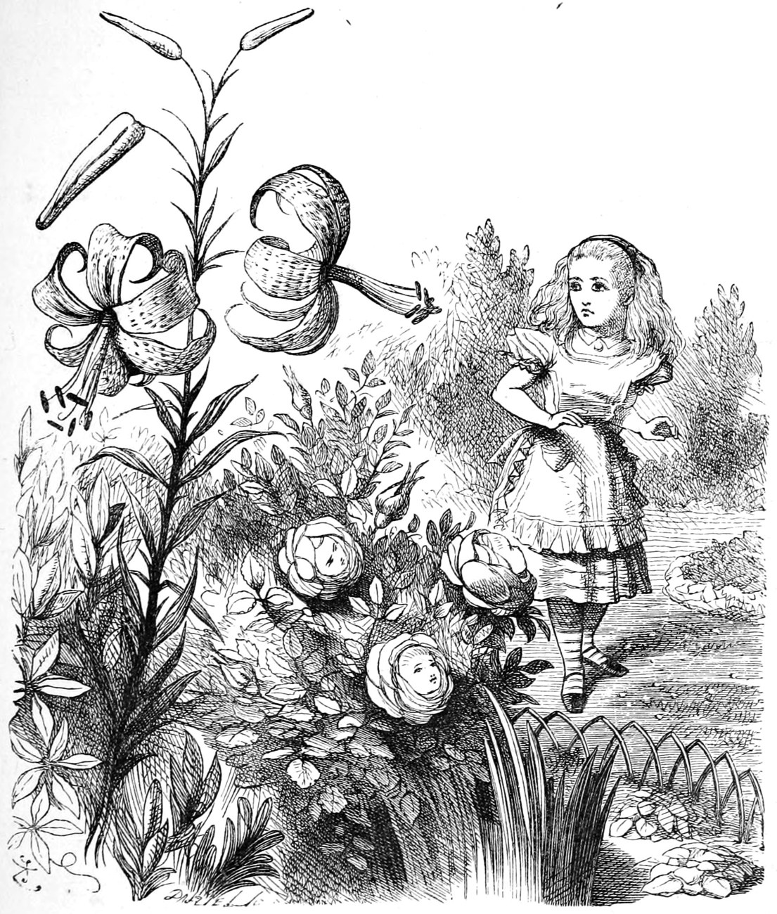 In the garden the Tiger-lily leans over Alice from a tall stem, and the roses below have faces; Alice stands on the path with her hands on her hips.