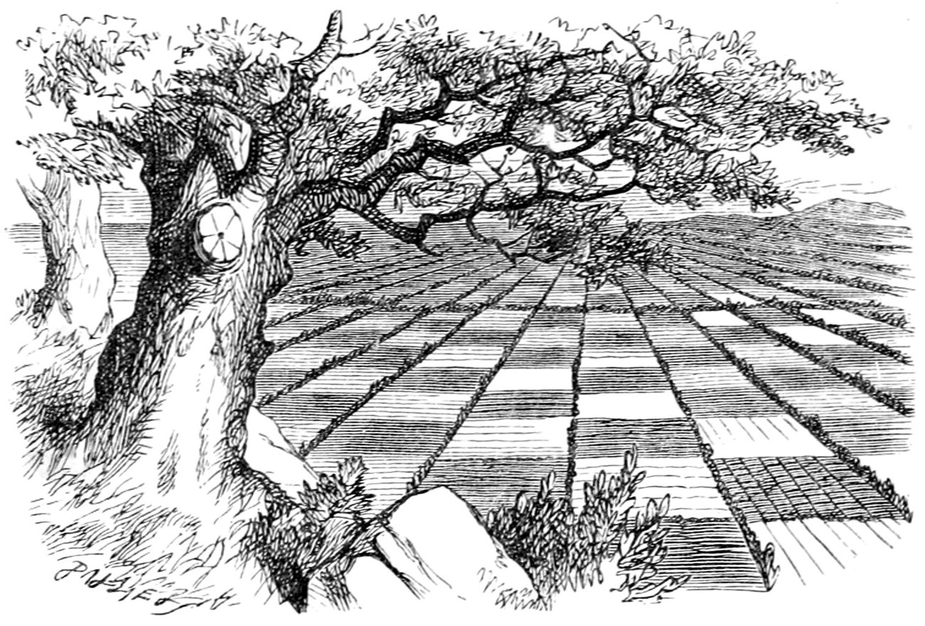 The country laid out like a chess-board: squares of field divided by little hedges and brooks, seen from under a twisted tree on the hill.