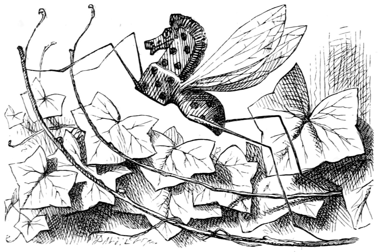 The Rocking-horse-fly, a small wooden rocking-horse with gauzy wings, perched among branches and ivy leaves.