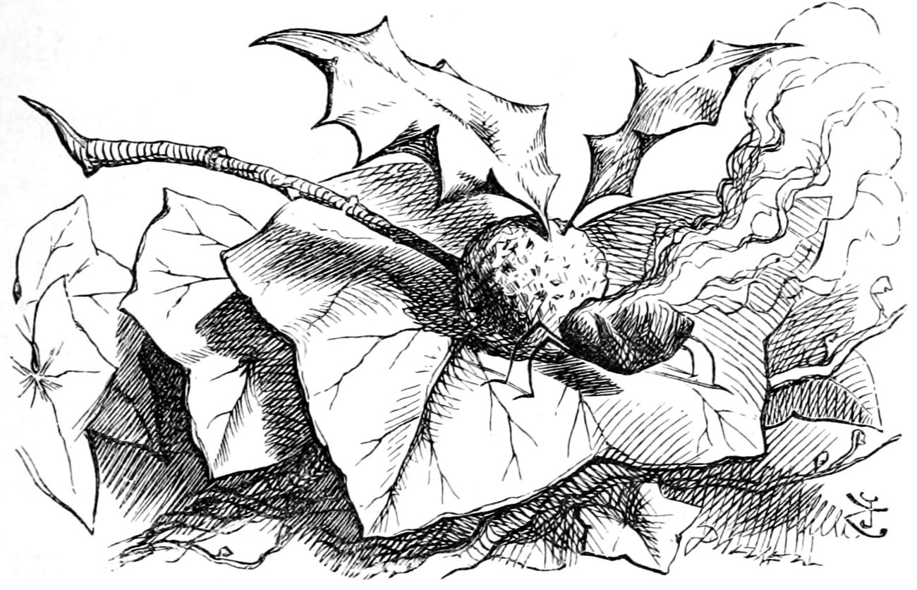 The Snap-dragon-fly: a plum-pudding body with wings of holly-leaves, resting on ivy, its raisin head burning and giving off smoke.