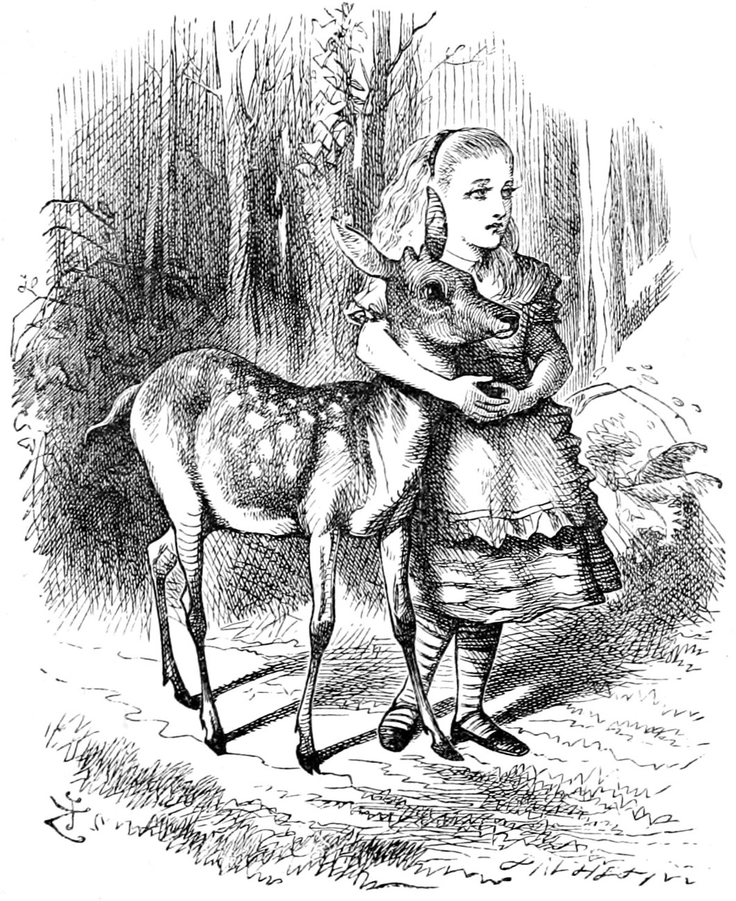 Alice in the wood with her arms clasped round the neck of the Fawn, which leans against her quite unafraid.