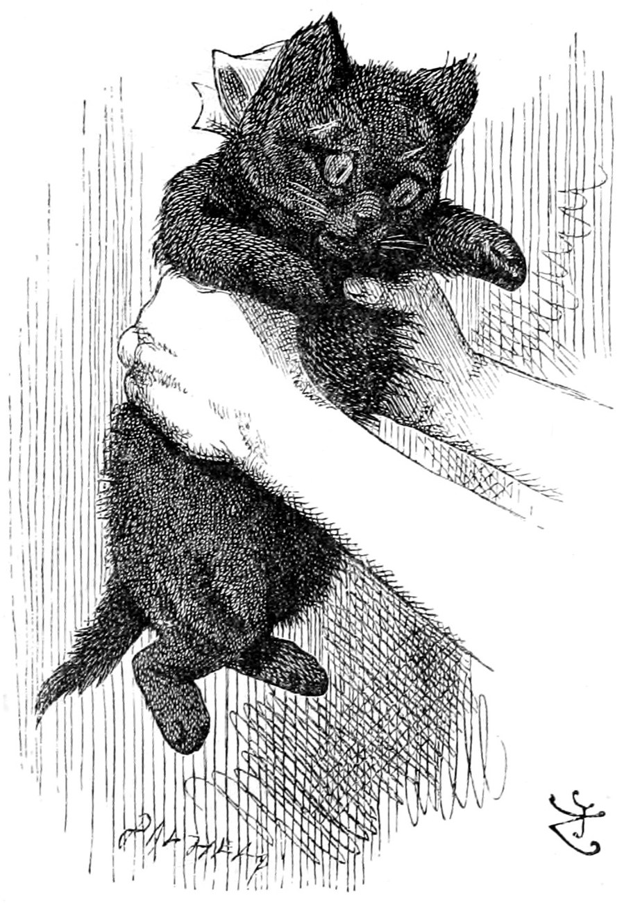 The black kitten held up in Alice's hand, its eyes half shut, a bow round its neck.