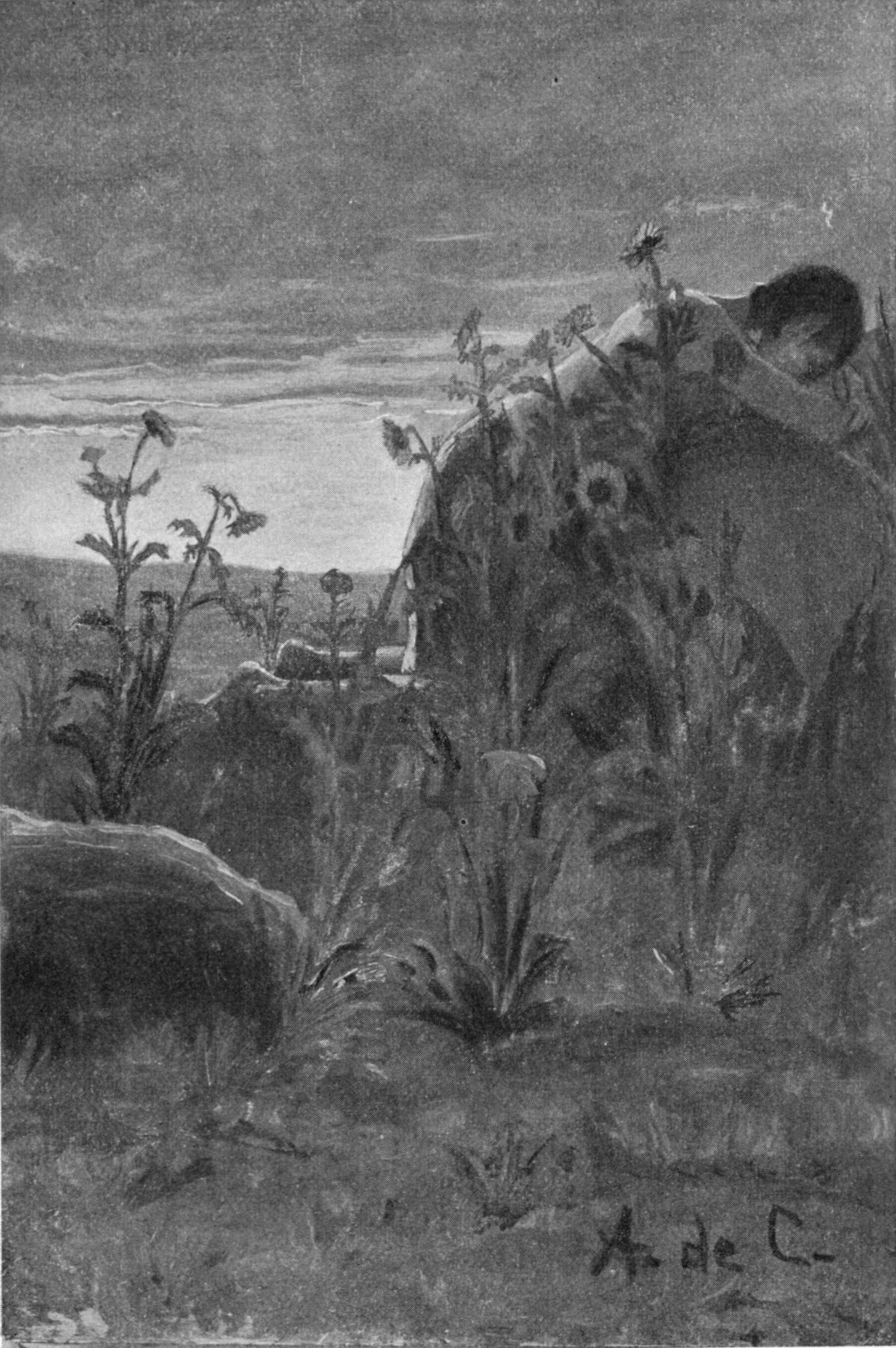 “Great-grandfather, give me meat to eat!” — Iktomi leans across a great boulder on a hillside at sunset, pressing himself against the stone among tall sunflowers.