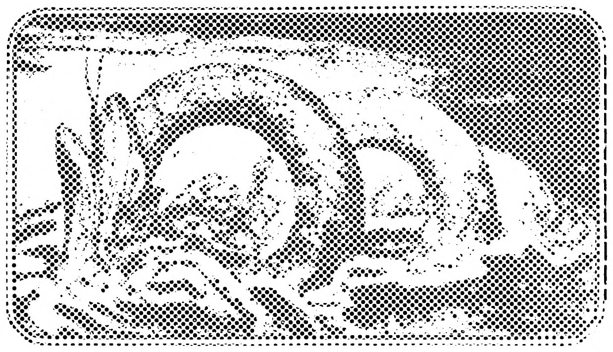A pale, screened vignette from the title page: great coils, like a serpent's, loop around a glowing disc above swirling forms.