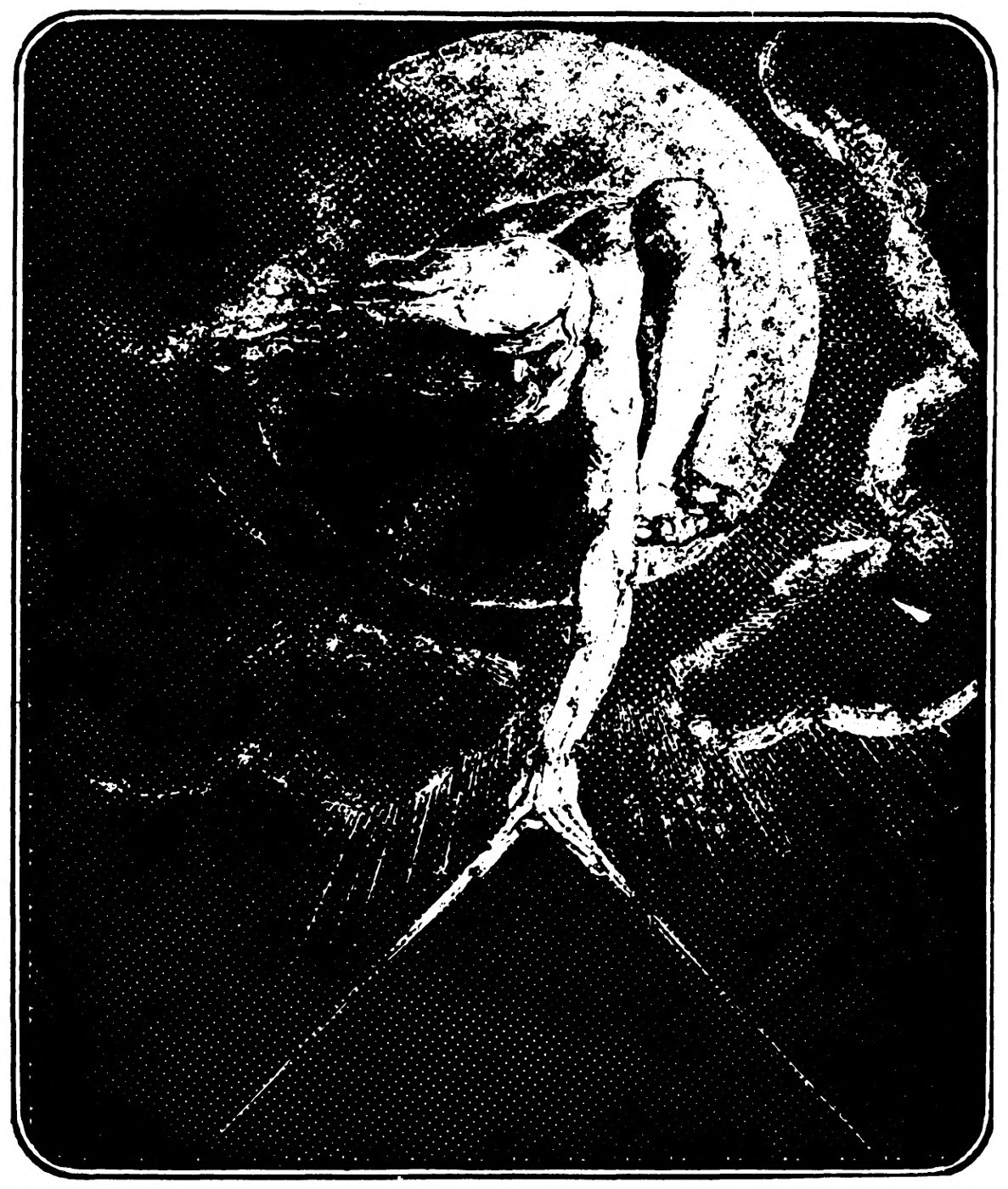 Against a black sky, a crouching figure inside a great disc reaches down with a pair of compasses whose legs spread in two thin rays toward the ground.