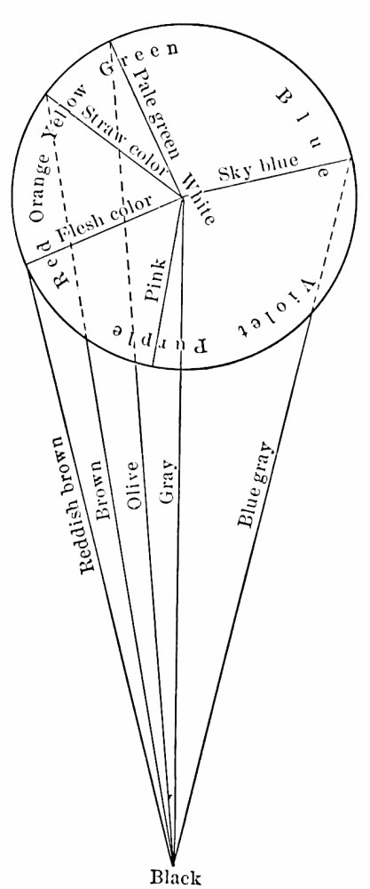Fig. 16 (after Ziehen). — The color circle raised into a cone, with White in the middle of the disk, pale tints such as sky blue and pink between, and lines running down through browns, olive and grays to Black at the point.