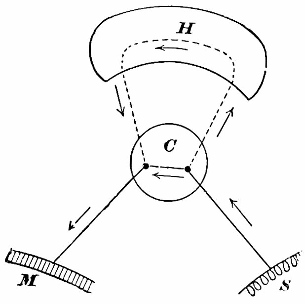 Fig. 40. — A diagram of two routes from sense-organ S to muscle M: a direct line through the lower centres C, and a dotted loop-line that climbs up through the hemisphere H and back down, arrows showing the current's direction.