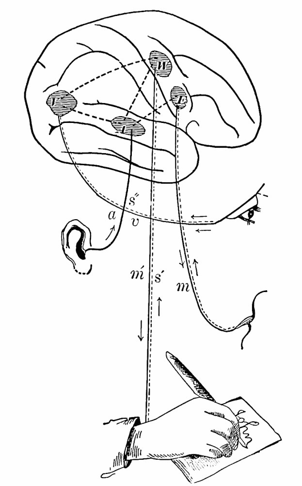 Fig. 48. — A is the auditory centre, V the visual, W the writing, and E that for speech. — A diagram from Ross of a head in profile with four centres marked on the brain and joined by dotted lines, each wired to its organ: A to the ear, V to the eye, E to the mouth, and W down to a hand writing with a pen.