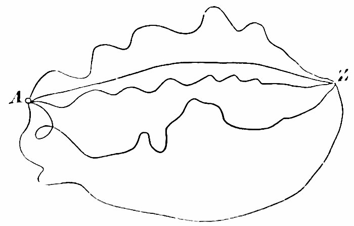 Fig. 53. — Several lines of thought starting together from the point A and wandering by very different paths — straight, wavy, looping, jagged — until all of them arrive at the same conclusion, Z.