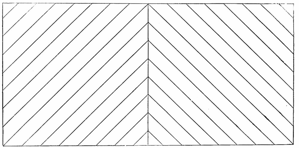 Fig. 54. — A stereoscopic slide in two halves, each filled with parallel diagonal lines running the opposite way to the other, so that the two eyes see two crossing systems of lines.