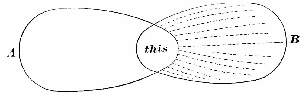 Fig. 63. — Two overlapping loops, A on the left and B on the right, sharing a small central region marked this, from which dashed lines spread out through B.