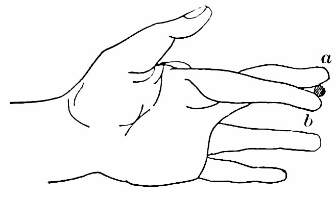Fig. 64. — A hand seen from the side with the first two fingers crossed, a and b, and a small round object held between their tips.