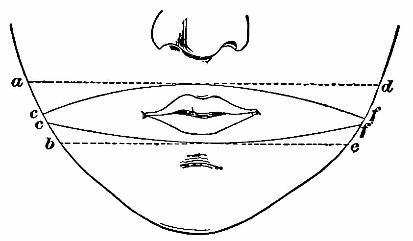 Fig. 65 (after Weber). The dotted lines give the real course of the points, the continuous lines the course as felt. — The lower half of a face — nose, mouth and chin — crossed by two straight dotted lines, a to d above the mouth and b to e below it, and two curved lines from c to f that bow apart to enclose the mouth.