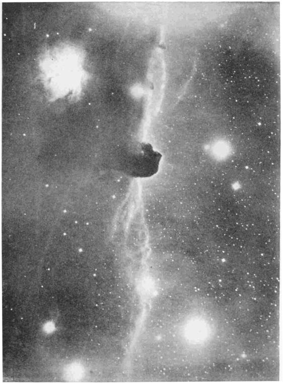 A Dark Nebula. Taken in 1920 with the aid of the largest telescope in the world. One of the first photographs taken by the Mount Wilson telescope. There are dark nebulæ and bright nebulæ. Prof. Henry Norris Russell, against the British theory, holds that the dark nebulæ preceded the bright nebulæ. Photo: Prof. Hale — A dark cloud shaped like a horse's head juts out from a pale, wispy band of glowing nebula that runs down the middle of the photograph, among many stars.