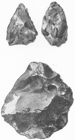 Flint Implements Found in Piltdown Region. Nat. Hist. Mus. — Three chipped flints, two small pointed ones above and a larger, rougher lump below, each showing the scars where flakes were struck off.