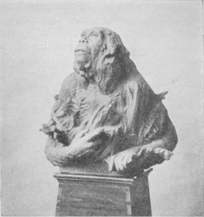 A Theoretical Restoration of the Pithecanthropus Erectus by Prof. Rutot — A sculptured bust of a hairy, ape-like figure on a wooden pedestal, looking upward, one hand clutching a spray of leaves against its chest.