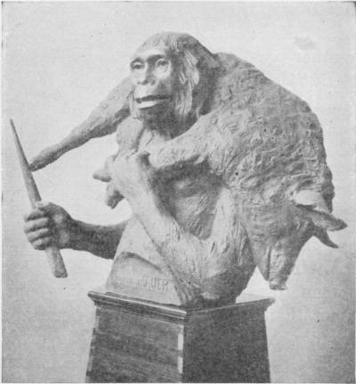 The Heidelberg Man. The Heidelberg Man, as modelled under the supervision of Prof. Rutot — A sculptured bust of a heavy-browed, ape-like figure on a wooden pedestal, carrying a dead animal slung across its shoulders and gripping a pointed stick in one hand.