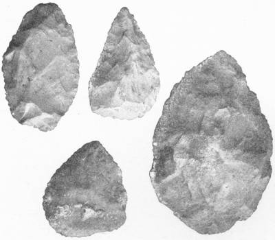 Relics of the Stone Age. Chert implements from Somaliland. In general form they are similar to those found in Western and Northern Europe. Brit. Mus. — Four roughly chipped stone tools, each pointed at one end and broad at the other, the largest a heavy oval.