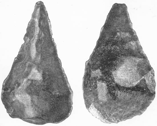 Widespread Similarity of Men of the Stone Age. On the left is a flint implement excavated in Gray’s Inn Lane, London; on the right one of similar form chipped by primitive men of Somaliland. Brit. Mus. — Two pear-shaped hand axes side by side, each chipped to a point at the top and rounded at the butt.