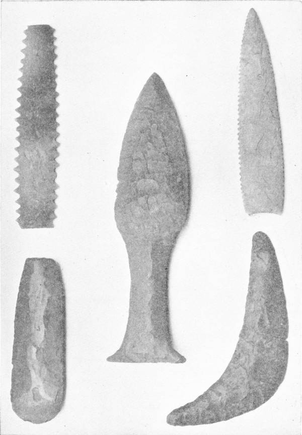 Neolithic Flint Implements. Brit. Mus. — Five flint pieces: a straight saw-toothed blade, a finely serrated leaf-shaped knife, a dagger with a pointed blade and flared handle, a flat chisel-like blade and a curved sickle.
