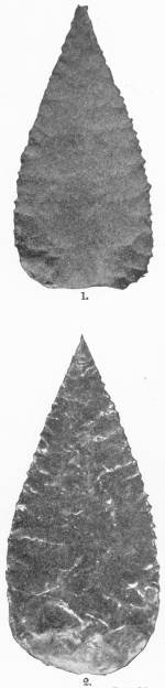 Neolithicism of To-Day. Spearheads, exactly as in the true Neolithic days, but made recently by Australian Natives, (1) Made from a telegraph insulator; (2) from a piece of broken bottle glass. Brit. Mus. — Two long leaf-shaped spearheads, numbered 1 and 2, each chipped to a point and finely notched along the edges; the second is glassy and streaked with light.