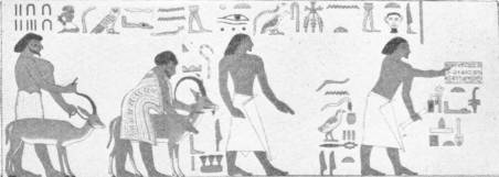 Nomads in Egypt. Egyptian wall painting in a tomb near ancient Beni Hassan, middle Egypt. It depicts the arrival of a tribe of Semitic Nomads in Egypt about the year of 1895 B.C. — The right part of the same procession: two men lead a gazelle and an ibex, and two others walk at the head, one holding out a written tablet, beneath a line of hieroglyphs.