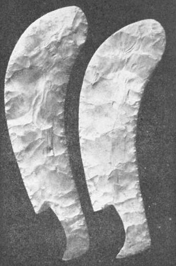 Flint Knives of 4500 B.C. Excavated 1922 by the British School of Archæology in Egypt from First Dynasty Tombs — Two long curved flint knives side by side, each chipped over its whole face and narrowing to a short hooked tang for the handle.