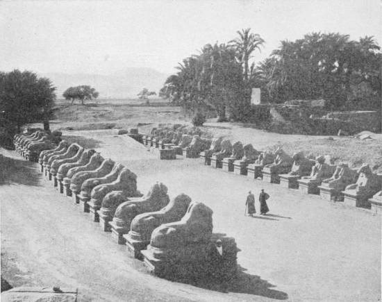 Avenue of Sphinxes. Leading from the Nile to the great Temple of Karnak. Photo: D. McLeish — Two long rows of crouching stone sphinxes line a broad sandy avenue, with two figures walking between them and palm trees beyond.