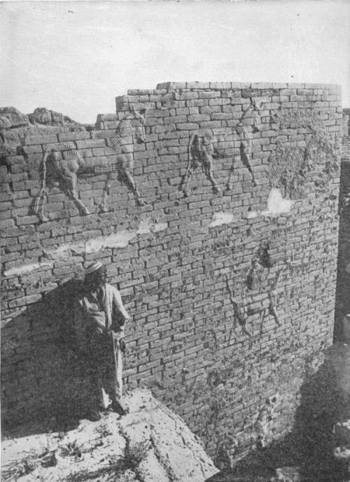 The Ishtar Gateway, Babylon. The bulls are in richly coloured enamel on baked brick. Photo: Underwood & Underwood — A curved wall of brick with rows of striding bulls moulded in relief across it, and a man in a long robe and turban standing at its foot.