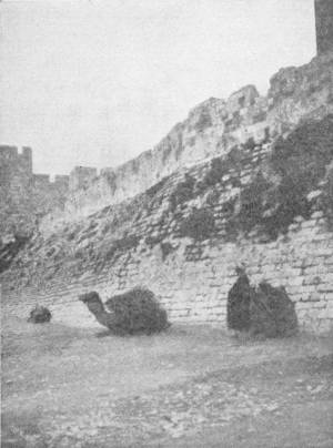 David’s Tower and Wall of Jerusalem. Photo: Fannaway — A great wall of dressed stone rises along a rocky slope beneath a tower, with a camel lying at its foot and a man beside it.