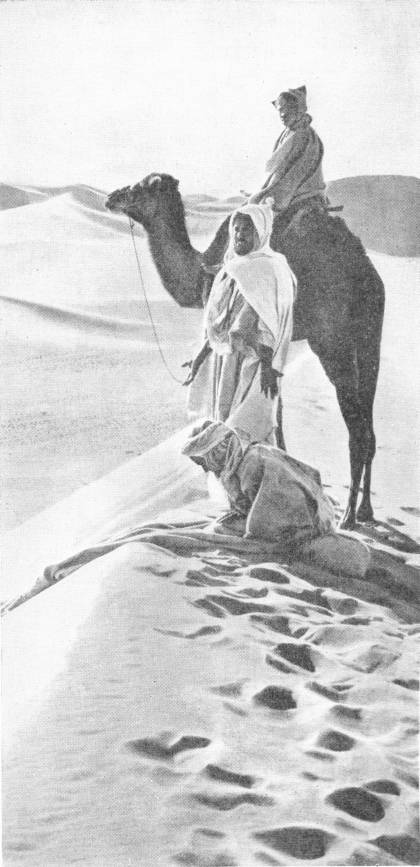 At Prayer in the Desert. Photo: Lehnert & Landrock — On the crest of a sand dune a man kneels bowed on a spread cloth while another stands with his hands at his sides, and a third looks on from a camel behind them.