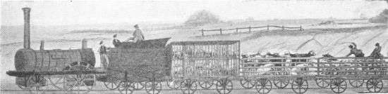 Early Rolling Stock on the Liverpool and Manchester Railway in the First Days of the Railway — A small locomotive and tender draw a cage wagon and a string of open trucks crowded with sheep and cattle, with men riding on top.