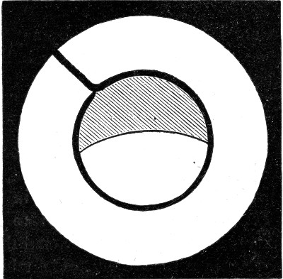 A ring with a thread tied loosely across it. Once the film on one side is broken, the film on the other side pulls the thread taut into an arc of a perfect circle.