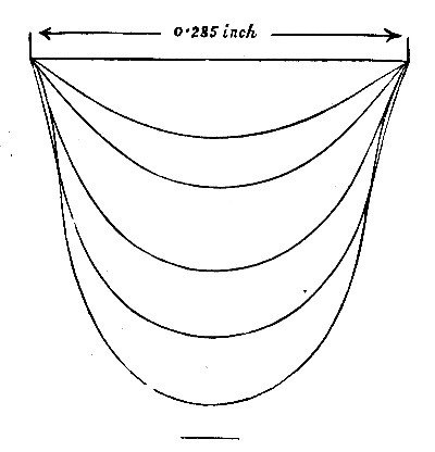 Mr. Worthington's magnified drawings of a water drop hanging from a pipe, at a series of sizes, up to the moment it breaks away.