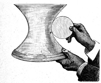 A disc of card, cut to the diameter of the waist of the plaster model, held edgewise against it. It fits the curve exactly at the waist.