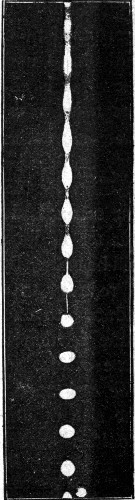 A fine column of water falling from a jet, photographed by the light of an instantaneous electric spark and magnified three and a quarter times. The column starts as a cylinder, develops necks and bulges, and ends in separate beads.