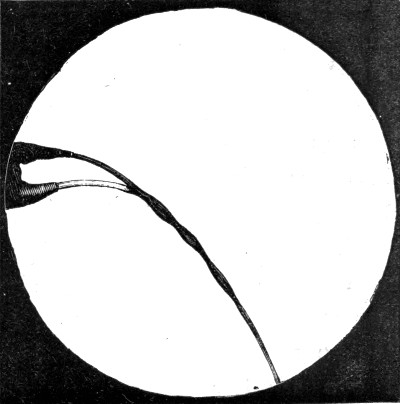The same two fountains at the instant a stick of electrified sealing-wax appears across the room. The drops can no longer bounce, and the two jets coalesce into one.