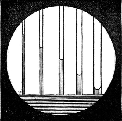 A row of glass tubes of graded bore standing in coloured water. The water rises highest in the finest tube and less in each wider one, so that the tops of the columns fall away along a curve.