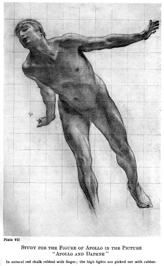 Plate VII. Study for the Figure of Apollo in the Picture "Apollo and Daphne" In natural red chalk rubbed with finger; the high lights are picked out with rubber. — A nude young man with a band round his hair leans sideways as if running, his head thrown back and one arm flung out, drawn over a ruled grid with the forms rubbed into soft tone.