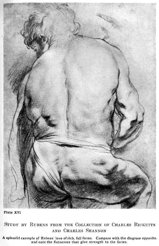 Plate XVI. Study by Rubens from the Collection of Charles Ricketts and Charles Shannon A splendid example of Rubens' love of rich, full forms. Compare with the diagram opposite, and note the flatnesses that give strength to the forms. — A muscular man seen from behind, bending forward with his head turned down and a cloth about his hips, the back and arm modelled in strong chalk with firm flat planes among the curves.