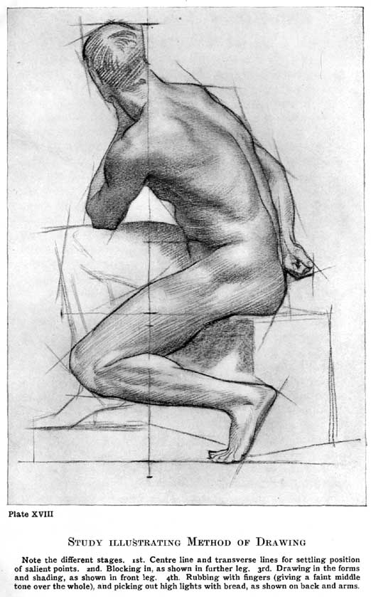 Plate XVIII. Study Illustrating Method of Drawing Note the different stages. 1st. Centre line and transverse lines for settling position of salient points. 2nd. Blocking in, as shown in further leg. 3rd. Drawing in the forms and shading, as shown in front leg. 4th. Rubbing with fingers (giving a faint middle tone over the whole), and picking out high lights with bread, as shown on back and arms. — A nude man seen from behind, kneeling on a block and twisting to look away, with the vertical centre line, transverse marks and straight blocking-in lines left visible, and parts of the figure at each stage of finish.