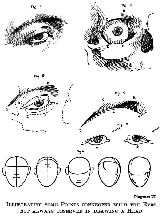 Diagram VI. Illustrating Some Points Connected with the Eyes Not Always Observed in Drawing a Head — Fig. 1, a normal eye; Fig. 2, the bony socket and eyeball with the skin removed, lettered A to F; Fig. 3, the two combined; Fig. 4, the growth of the eyebrow hairs; Fig. 5, two eyes lit from one side; Fig. 6, five alike head outlines with differing guide lines.