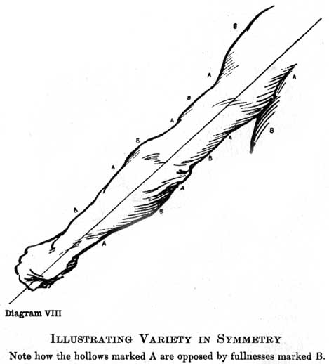 Diagram VIII. Illustrating Variety in Symmetry Note how the hollows marked A are opposed by fullnesses marked B. — An outline of an arm, with the clenched fist at the lower left, a straight line drawn along its length, and letters round the contour showing each hollow, A, answered by a fullness, B, on the opposite side.