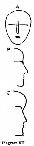 Diagram XII. A, B, C — Three small outline heads. A: a front face, vertical furrows between the brows crossed by the horizontal brow line. B: a profile with an upright forehead and level eyebrow. C: a profile whose forehead bulges forward in a curve.
